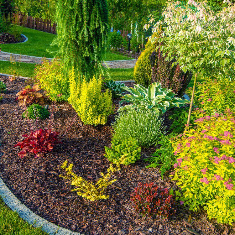 Landscape Design