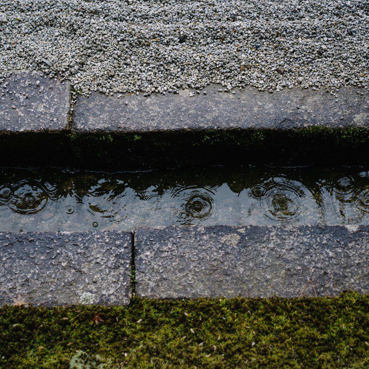 Drainage Drainage