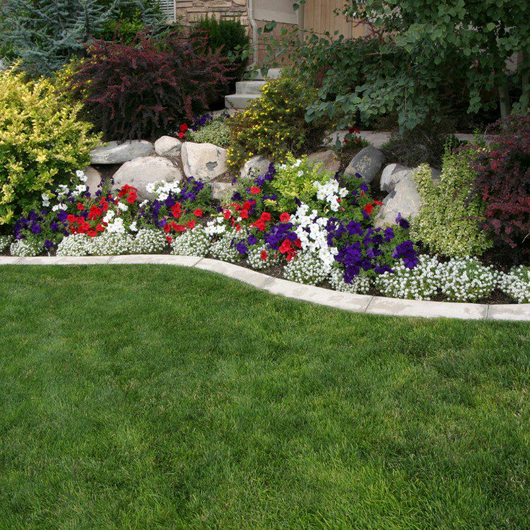 Landscape Design